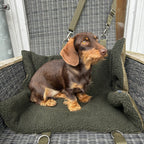 Hamburger-Hund Outdoordecke zum Umhängen grün