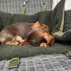 Hamburger-Hund Outdoordecke zum Umhängen grün