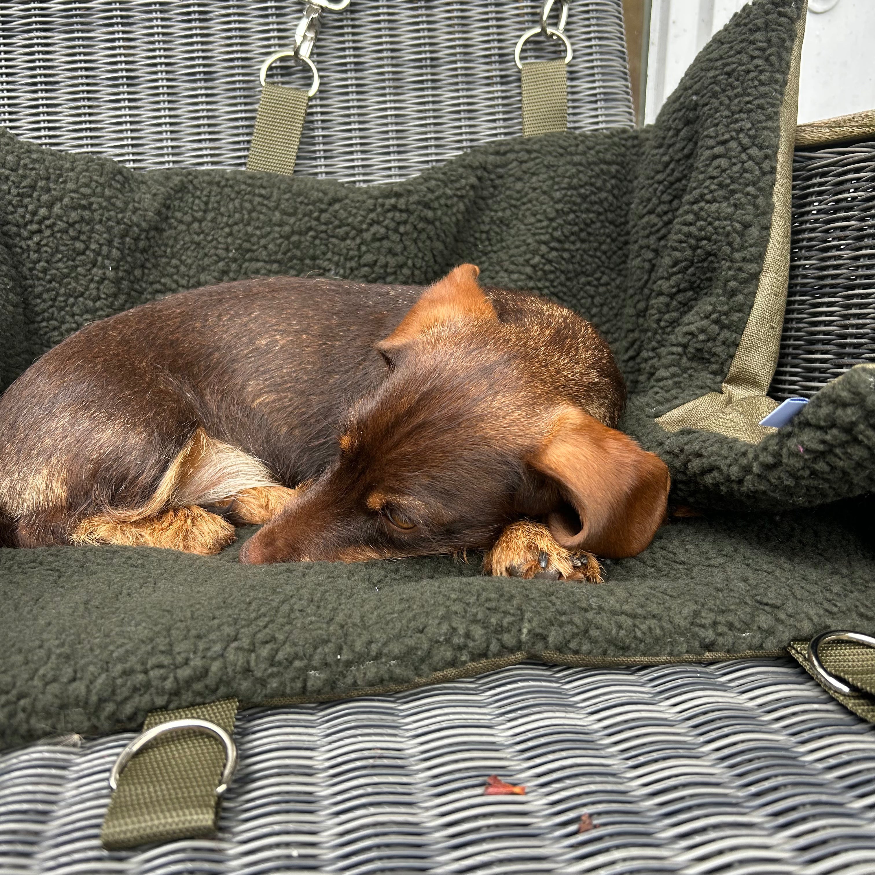 Hamburger-Hund Outdoordecke zum Umhängen grün mit pink
