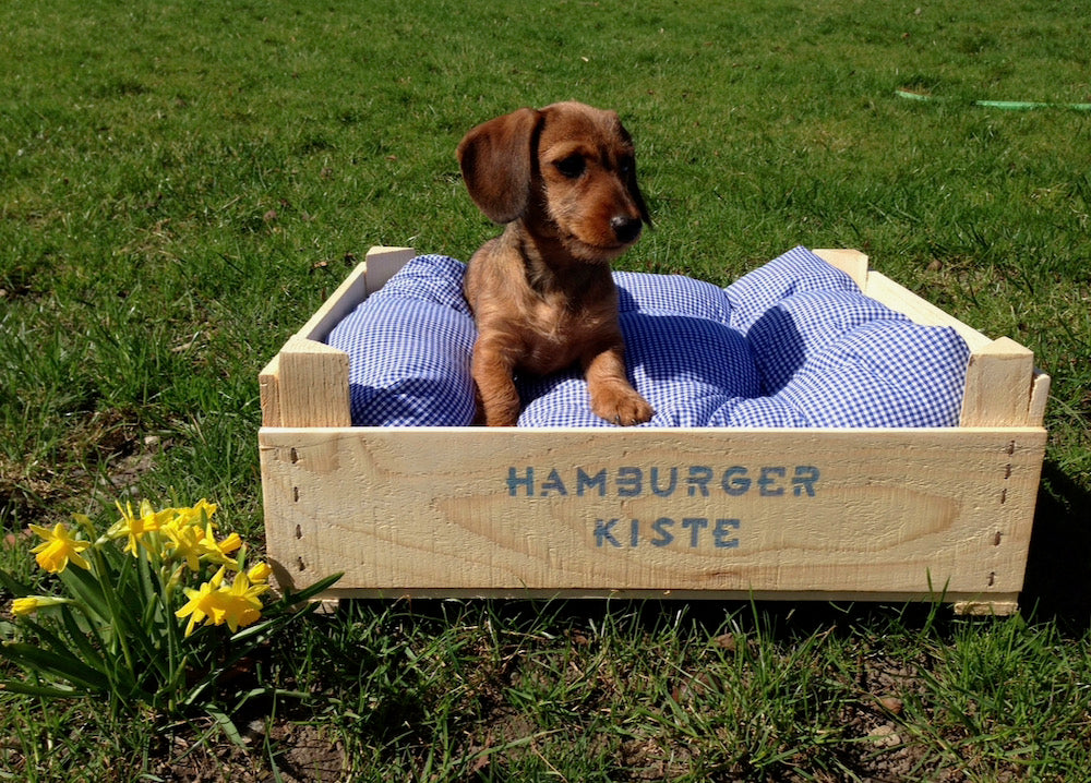 Hundebett "Hamburger Kiste"