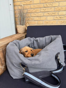 tragbarer Hunde-Kuschelsack "Canvas blau"