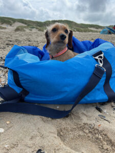 tragbarer Hunde-Kuschelsack "Segel blau"