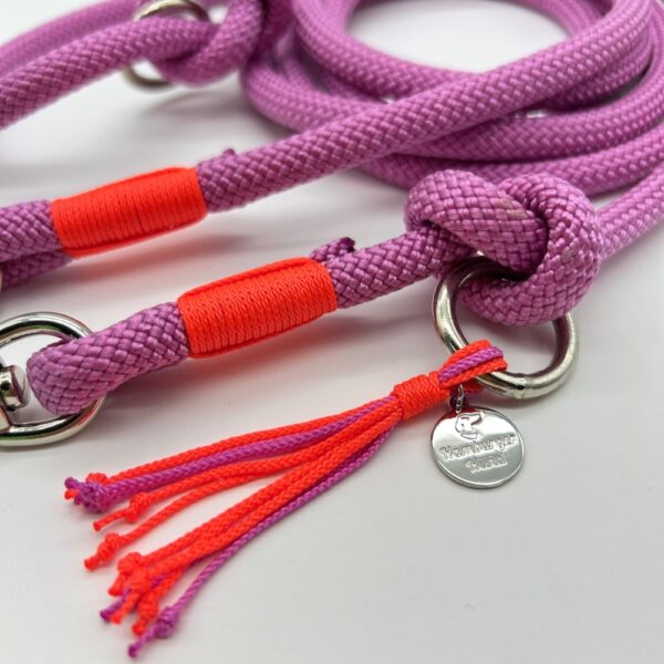 Tau-Hundeleine, 8 mm Stärke - lavender / orange – Bild 2