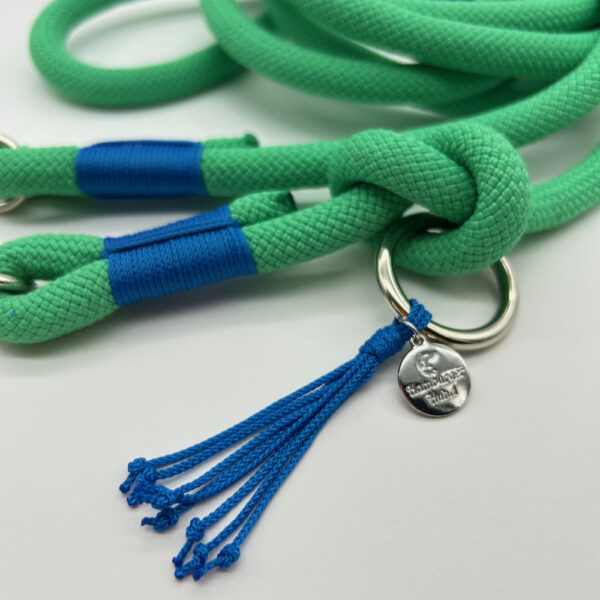 Tau-Hundeleine, 10 mm Stärke - mint / aquablau – Bild 2