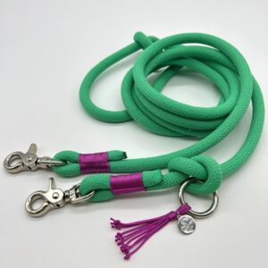 Tau-Hundeleine, 10 mm Stärke – mint / brombeer