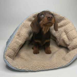 Hattie´s Kuschelsack - Welpenkuschelsack