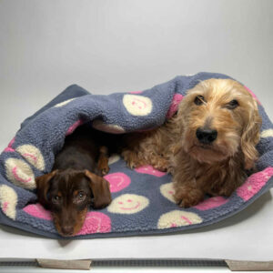 Hunde-Kuschelsack "Canvas Smiley"