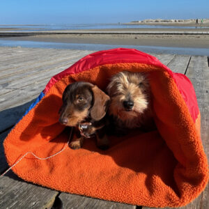 Hunde-Kuschelsack Segel No. 12